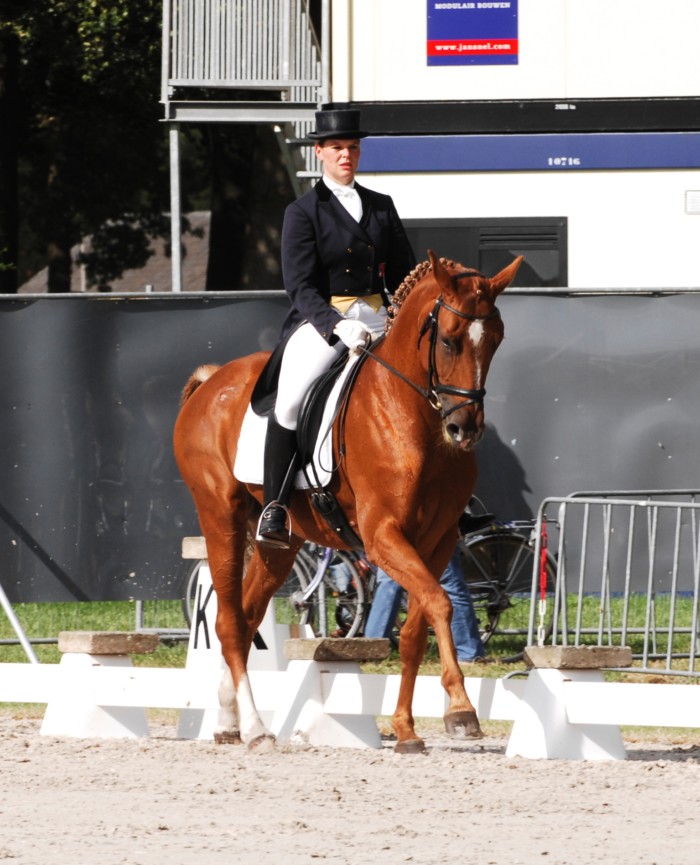 Foto_Dressur_Eventing Foto_Dressur_Eventing